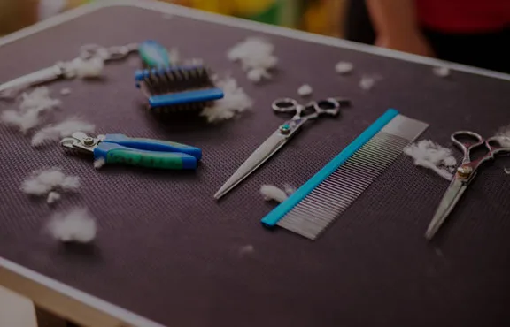 Shop Accessories grooming tools at Titan Shears